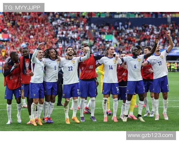 法国足球历史前五大球星精彩排名与成就盘点 法国足球历史前五大球星精彩排名与成就盘点